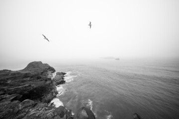 Iceland ocean beach cliffs