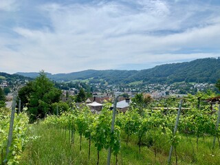 Fototapeta na wymiar Panorama auf die Stadt Adliswil, im Sihltal Kanton Zürich