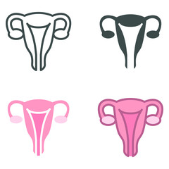 Healthy Female reproductive system in Internal organ include uterus, cervix, ovary, fallopian tube. Human Anatomy of inner body part. Womb icon. Vector illustration. Design on white background. EPS10