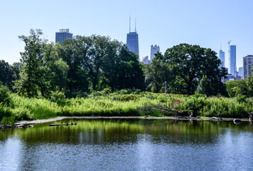 city skyline in the park