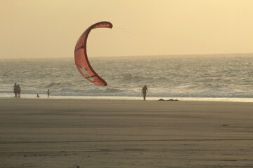 Many silhouettes of kites in the sky of São Marcos Bay, São Luís, Maranhão, Brazil, performing...
