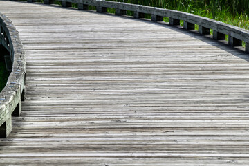 boardwalk footbridge through the forest marsh