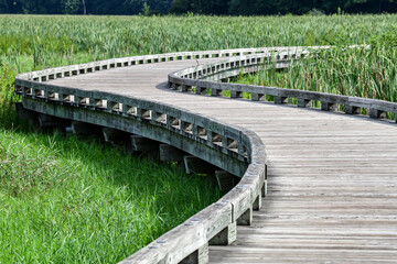 Obraz premium wooden bridge in the park