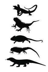 Lizards reptile set symbols. Frilled lizard symbol. Pet iguana silhouette. Chameleon shape shadow. Komodo dragon vector silhouette illustration isolated on white background. Varanus Komodo monitor.  
