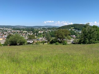 Fototapeta na wymiar Panorama auf die Stadt Adliswil im Frühling - Sihltal Kanton Zürich