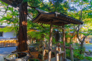 円覚寺の新緑と夕暮れ
