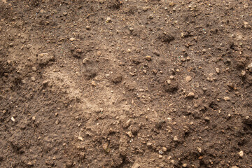 texture of agricultural earth