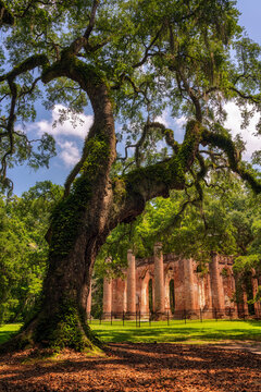 Old Sheldon Church, South Carolina