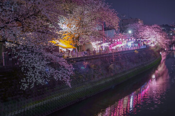 大岡川プロムナードの夜桜のイメージ