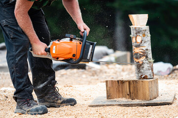 Close up photo of a man's arms using a chainsaw cutting an animal face on a stump of wood.