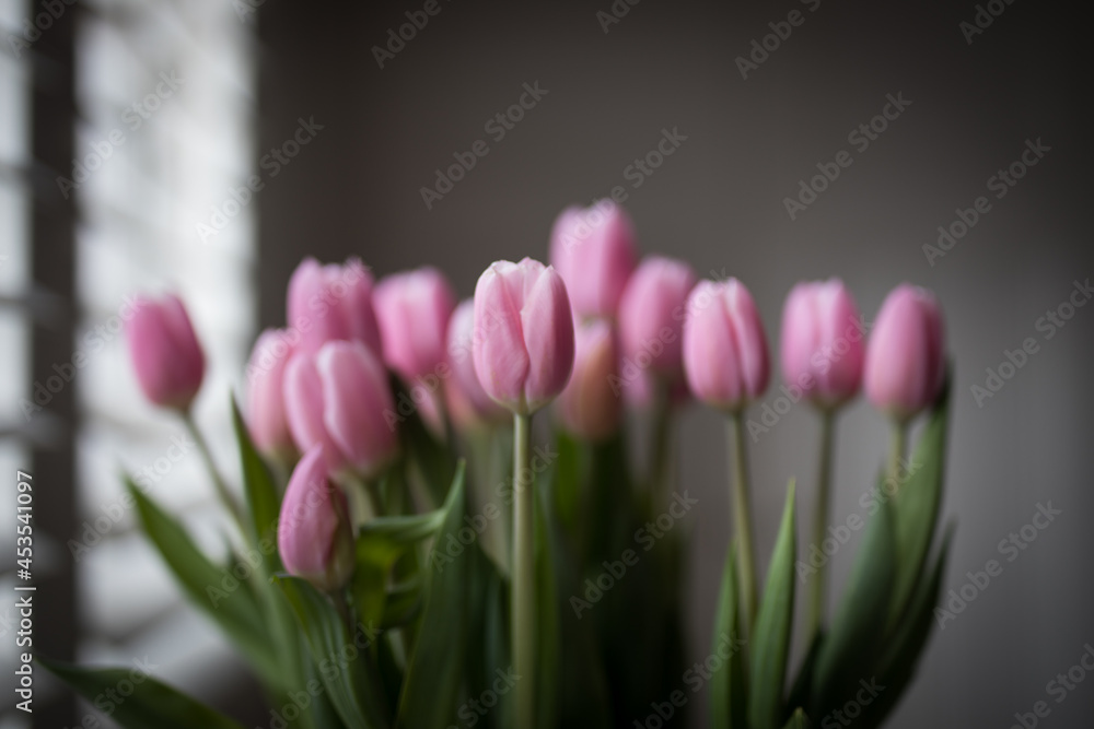 Wall mural Tulips