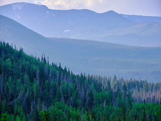 Layers of mountains and trees at dusk inside Rocky Mountain National Park Colorado