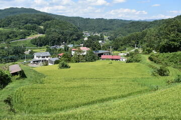 Fototapeta na wymiar 群馬　嬬恋　崖の崩落箇所と周辺風景