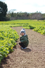 菜の花畑の小道に座っているニット帽を被った3歳の子供