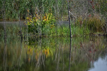 reflection on the lake