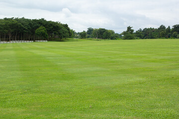 Naklejka premium green grass field with sky and mountain