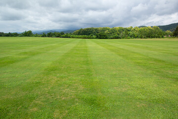 green grass field with sky and mountain