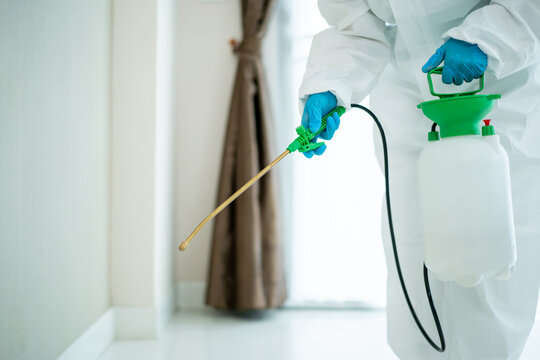 Sanitary staff sanitizing a surface inside the building cause coronavirus or COVID-19 disease pandemic.