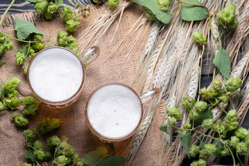 Two mugs of frothy beer on the wooden table flat lay background with copy space.