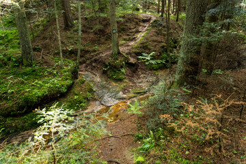 Marking the hiking trail in green, painted on the rock. Marking will lead us to our destination without wandering along the way.