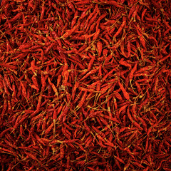Dried red hot chilli texture background