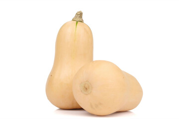 Butternut squash isolated on white background.