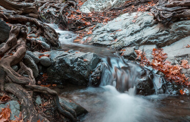 Autumn creek
