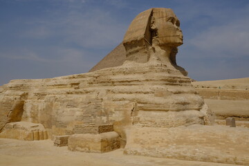 Egypt Cairo - Great Sphinx of Giza panoramic view