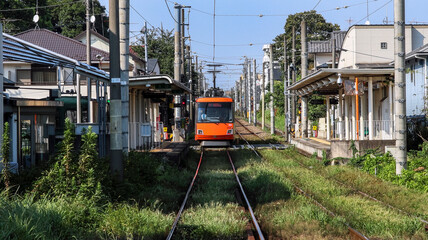 Naklejka premium 夏草が生い茂る都会