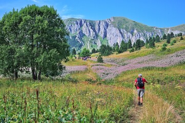 Senior man hiking through the beautiful valley