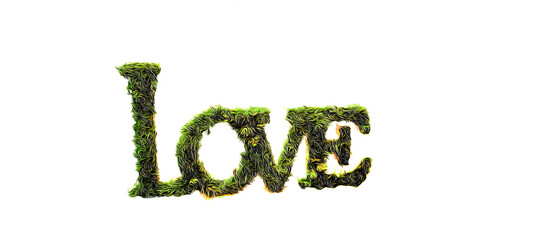 Morse love