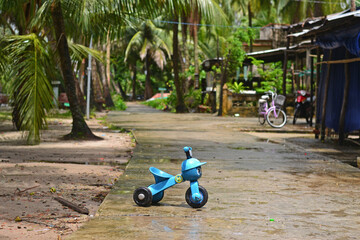 Children's little plastic blue bicycle stands on a wet concrete road against a background of palm trees