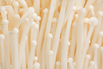 Enoki mushroom, Golden needle mushroom on white background