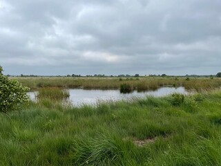 Hochmoor - Ewiges Meer