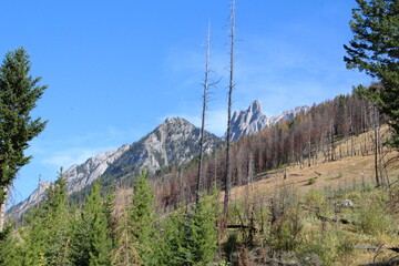 Jagged Peak Over The Hill, Banff National Park, Alberta