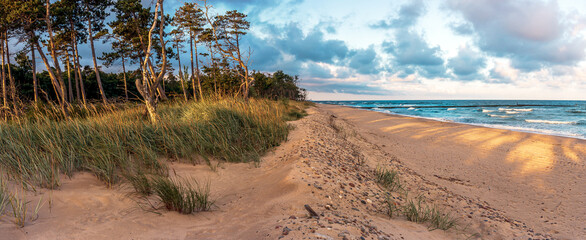 Beautiful dawn at Baltic Sea. Trees, sandy beach, water, clouds and tall grass illuminated by...