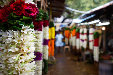 garland of  flower hanged  in hindou temple 