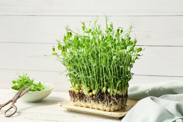 Fresh micro green on light wooden background