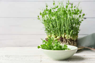 Fresh micro green on light wooden background