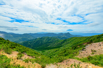 Naklejka premium landscape with blue sky