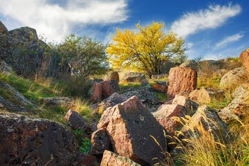 Beautiful yellowed vegetation and stones covered with lichen and moss hills in picturesque Ukraine
