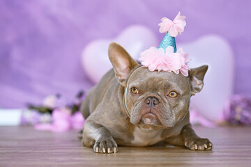 French Bulldog dog with birthday part hat in front of blurry purple background with flowers and heart shaped balloons