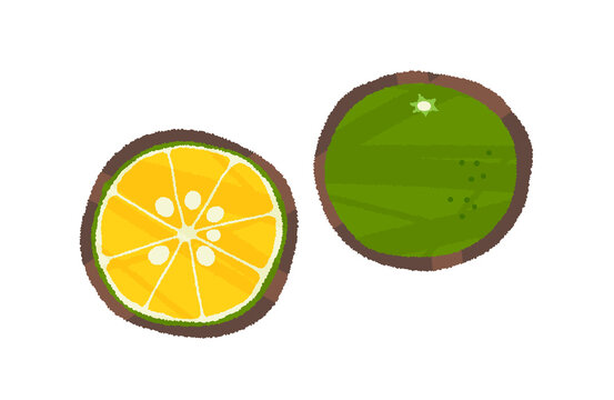 235 件の最適な シークワーサー 画像 ストック写真 ベクター Adobe Stock