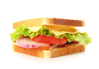 Tasty sandwich on white background