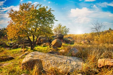 Beautiful yellowed vegetation and stones covered with lichen and moss hills in picturesque Ukraine