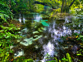 Rainy day at Rainbow Springs State Park in Florida