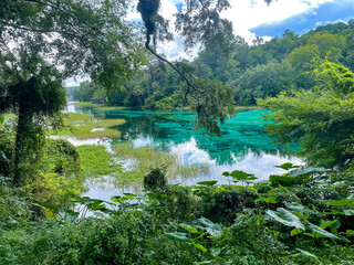Rainy day at Rainbow Springs State Park in Florida