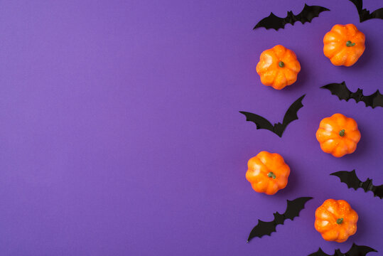 Top view photo of halloween decorations small pumpkins and bats silhouettes on isolated violet background with empty space