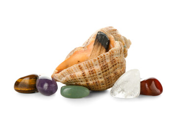 Set of chakra stones, sea shell and Palo Santo on white background