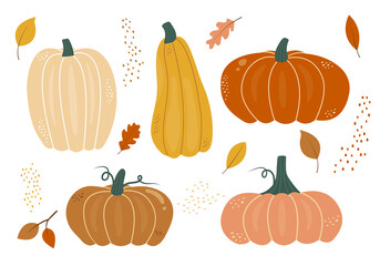 Set of colorful autumn pumpkins of different shapes in flat style. Fall harvest cartoon vegetables. Hand drawn squash elements. Symbol of halloween vector illustration. - obrazy, fototapety, plakaty